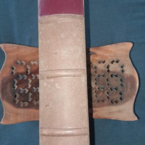 15) Antiquitates christianæ, or, The history of the life and death of the holy Jesus