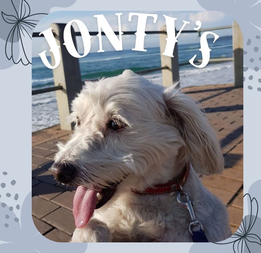 Jontys