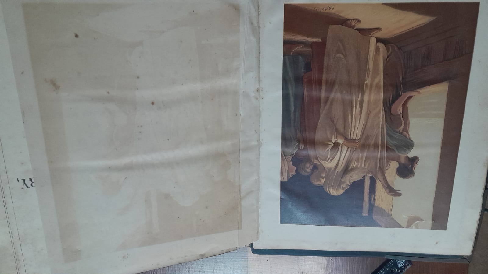 Holy bible scott henry 1850