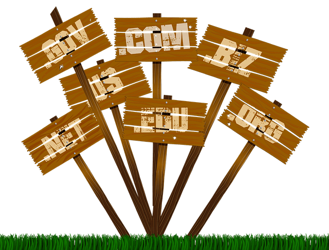 domain registration